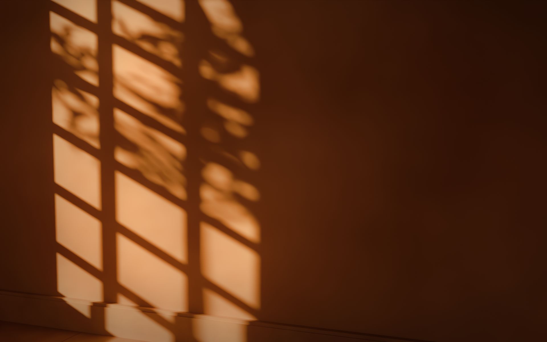 La lumière d’une fenêtre cintrée et l’ombre d’un oranger sur un mur de chaux, à l’heure dorée.